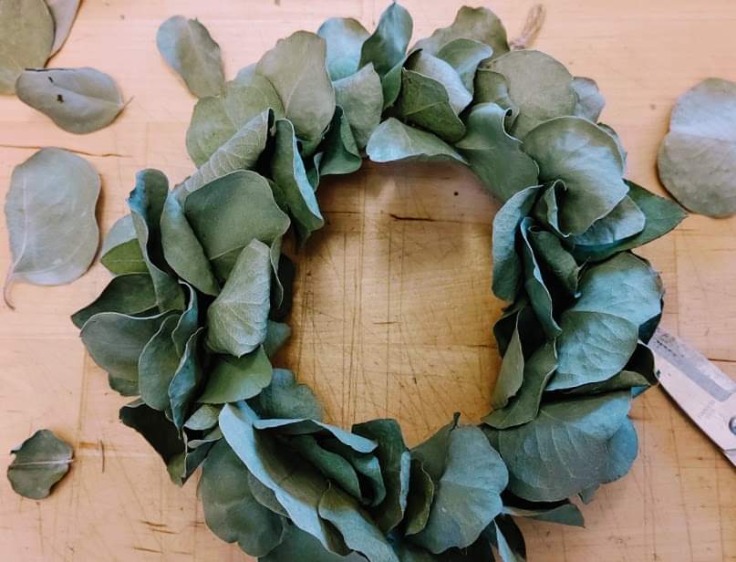 ユーカリリース