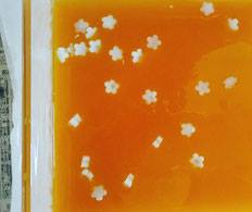 みかんはちみつせっけん