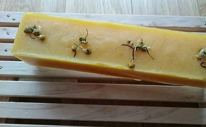 カモミールとはちみつのせっけん