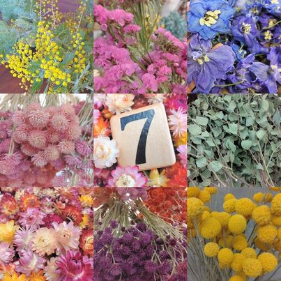 ドライフラワーセール