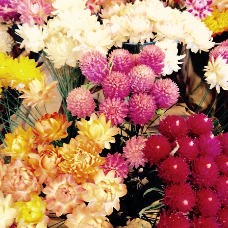 ドライフラワー