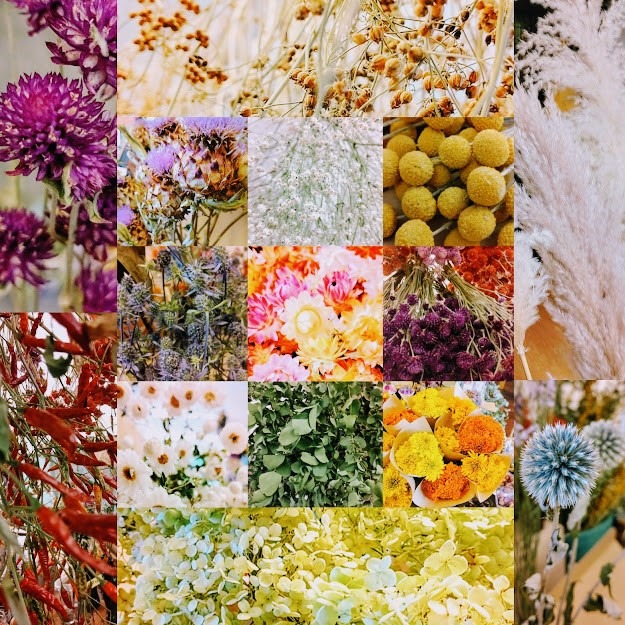 ドライフラワーセール